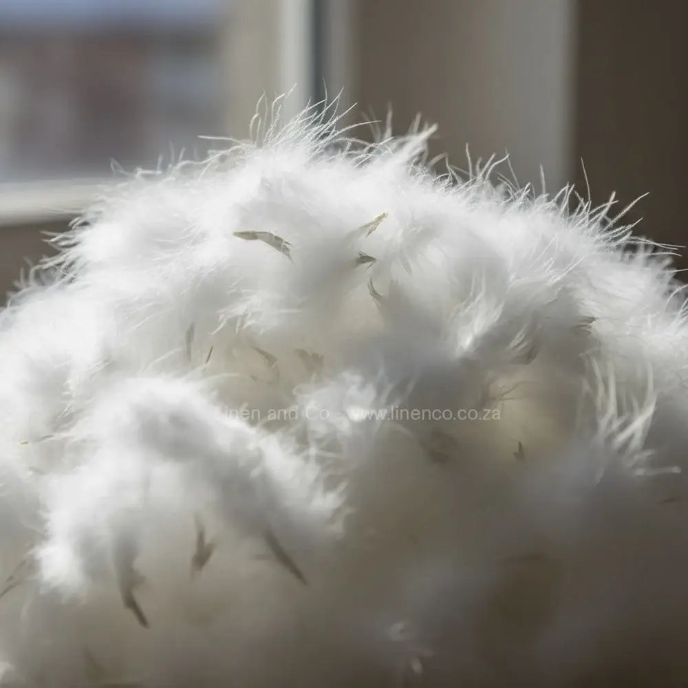 Close-up of premium white goose down filling showcasing soft, fluffy texture and superior quality hospitality-grade pillow material by Linen & Co