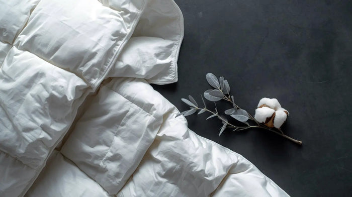 Care notes imagery for Natural Cotton Duvet Inners