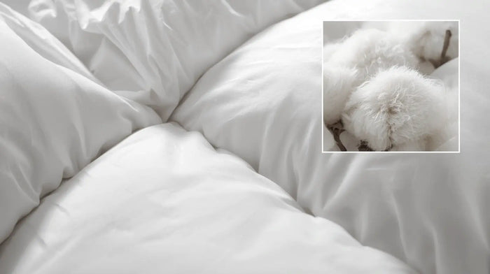 Why choose Natural Cotton Duvet Inners
