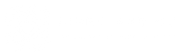 Linen and Co - Luxury Linen - Where Luxury Meets Comforts