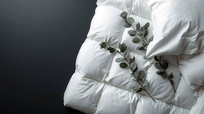 Care notes imagery for Hungarian Goose Down Duvet Inners