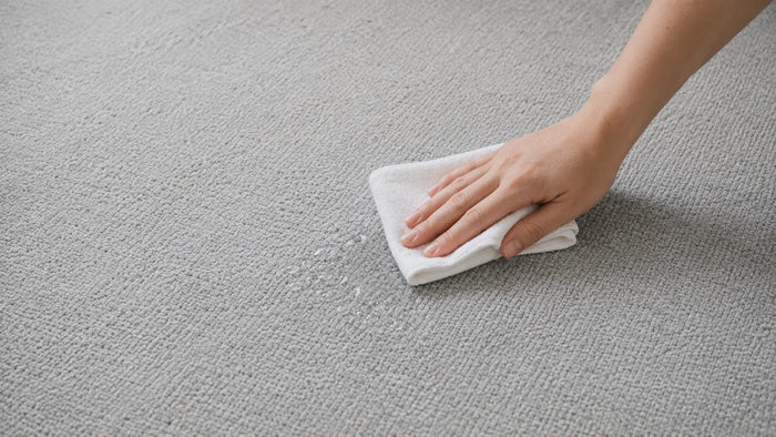 Care notes imagery for Wayfarer Rug