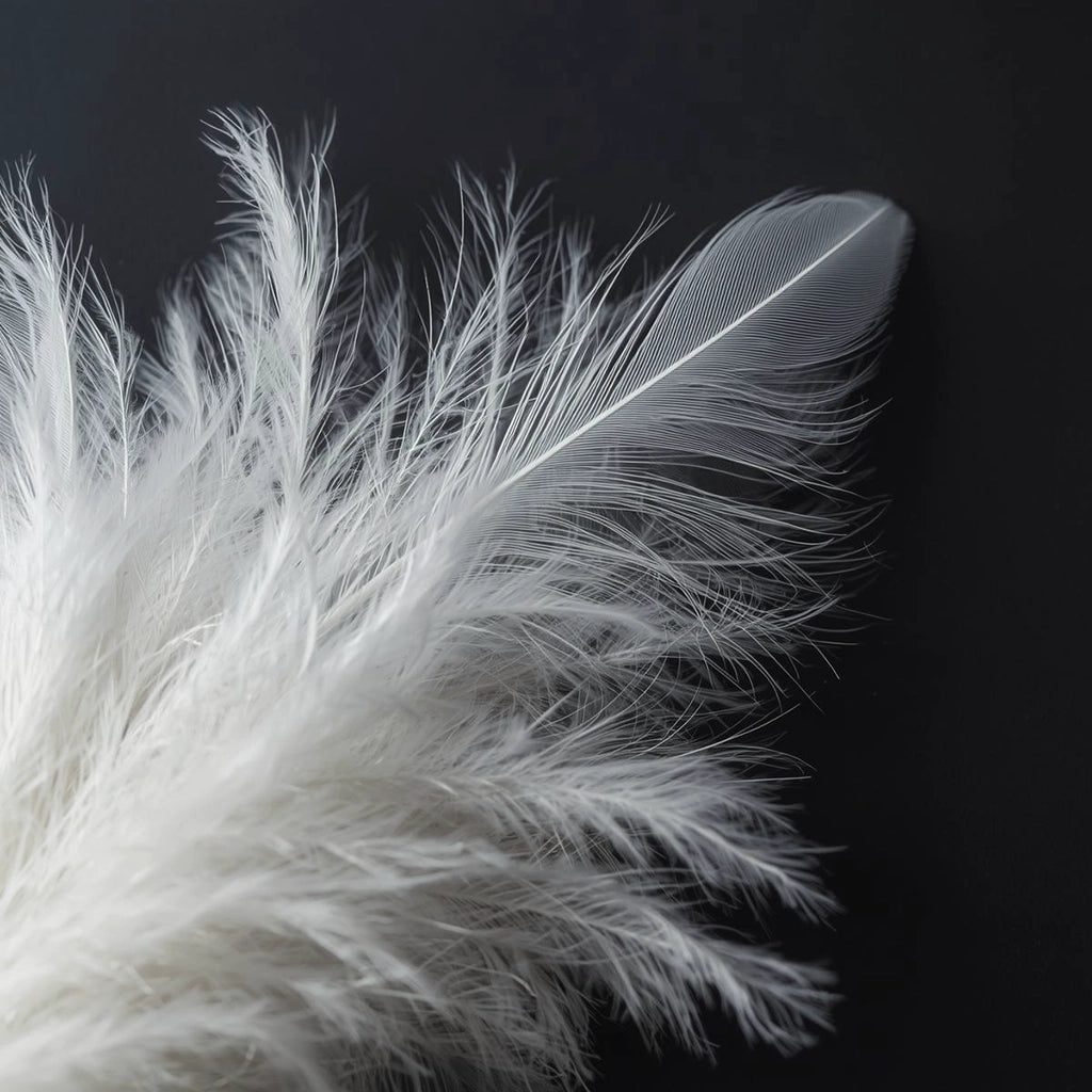 Close-up of Linen and Co white duck feather and down blend used in premium pillows and duvet inners for luxury hospitality and residential bedding in South Africa